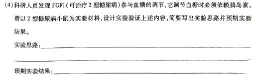 2025届安徽省高三暑期托管阶段检测卷(25-x-021c)生物试题答案