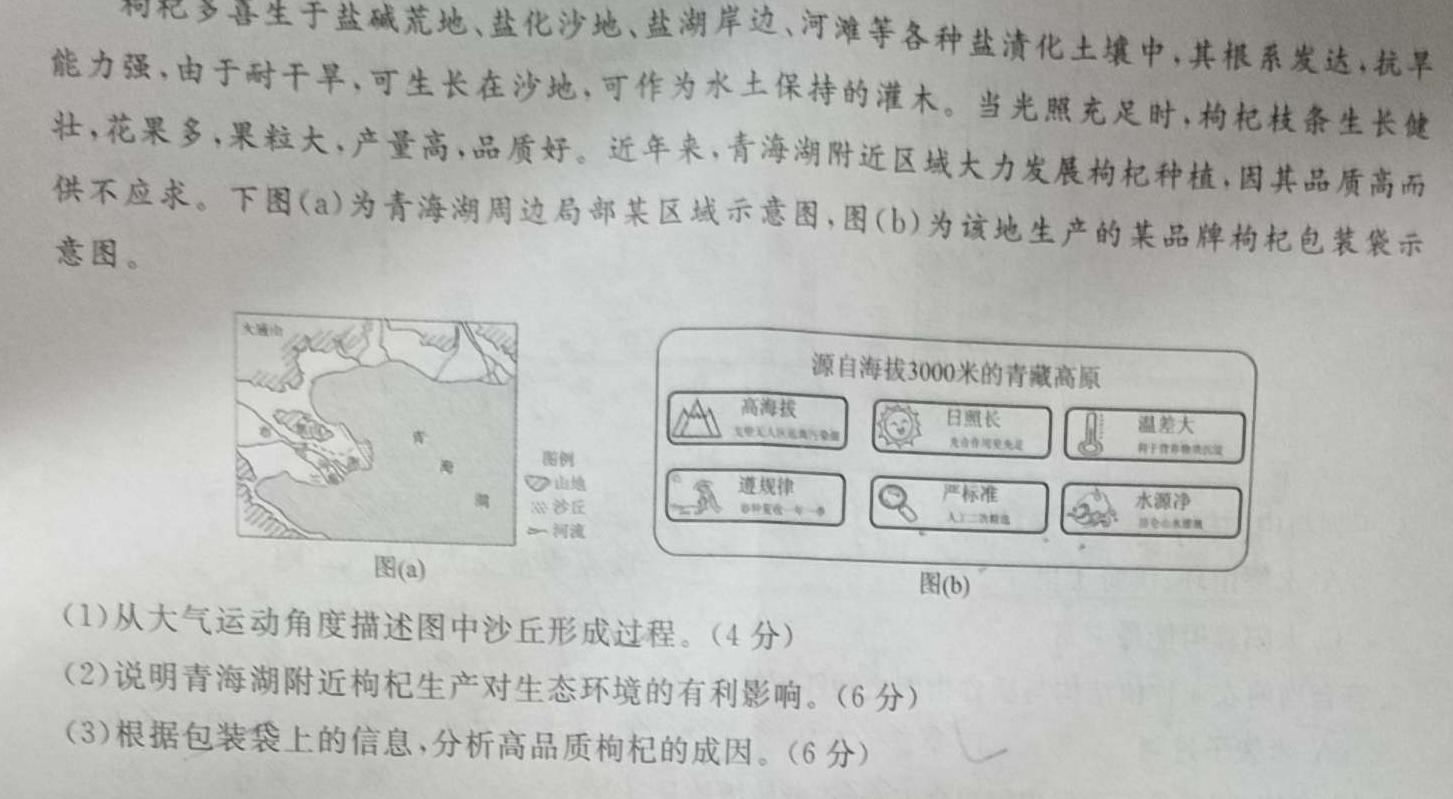 甘肃省白银市2024-2025学年度第一学期八年级期中试卷政治y试题